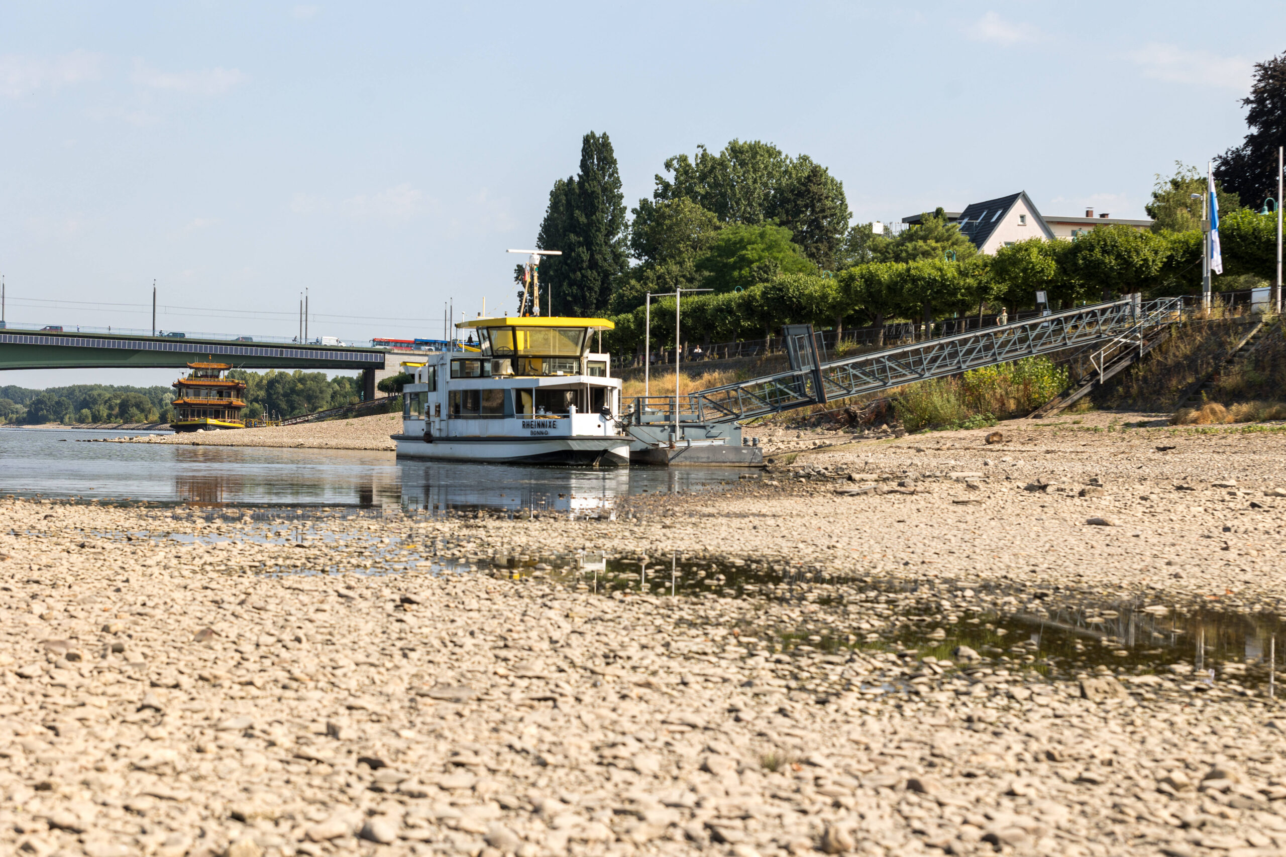 Niedrigwasser am Rhein: Freiliegende Uferbereiche am Beueler Rheinufer in Bonn Bonn-Beuel, Nordrhein-Westfalen, Deutschland 14.07.2026: Das Beueler Rheinufer zeigt sich bei sommerlichem Wetter mit einem deutlich niedrigen Wasserstand des Rheins. Weite Kies- und Sandflächen sind freigelegt, während sich der Fluss auf sein schmaleres Bett zurückgezogen hat. Der aktuelle Rheinpegel am Pegel Bonn liegt bei rund 102 bis 103 Zentimetern und unterstreicht die anhaltende Niedrigwassersituation. Bonn Beuel Nordrhein-Westfalen Deutschland *** Low Water Levels on the Rhine: Exposed Riverbanks on the Beuel Side of the Rhine in Bonn, Bonn Beuel, North Rhine-Westphalia, Germany July 14, 2026 The Beuel bank of the Rhine is visible in summery weathe